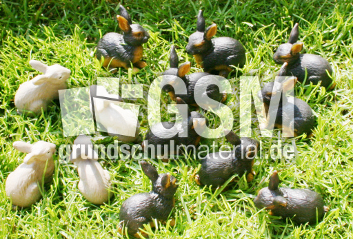 Kaninchen-13.jpg